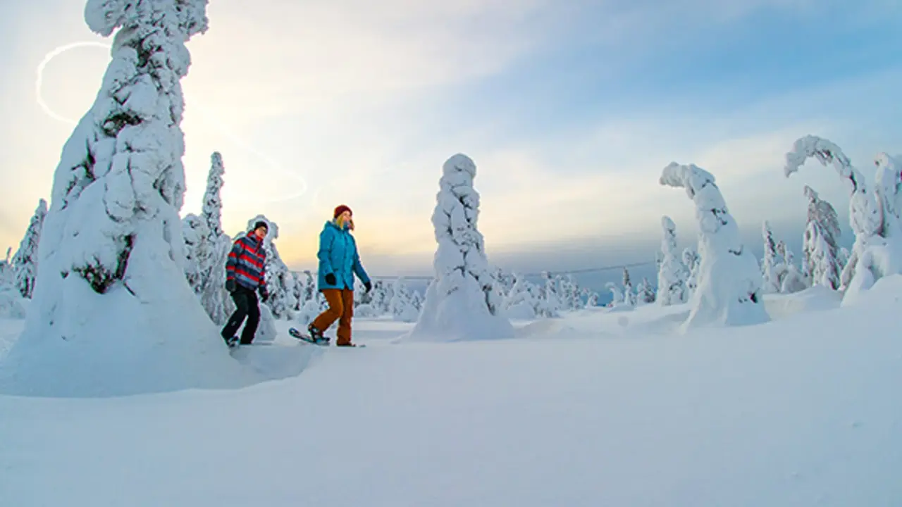 Schneeschuhwanderung bei Iso-Syöte in Finnisch Lappland