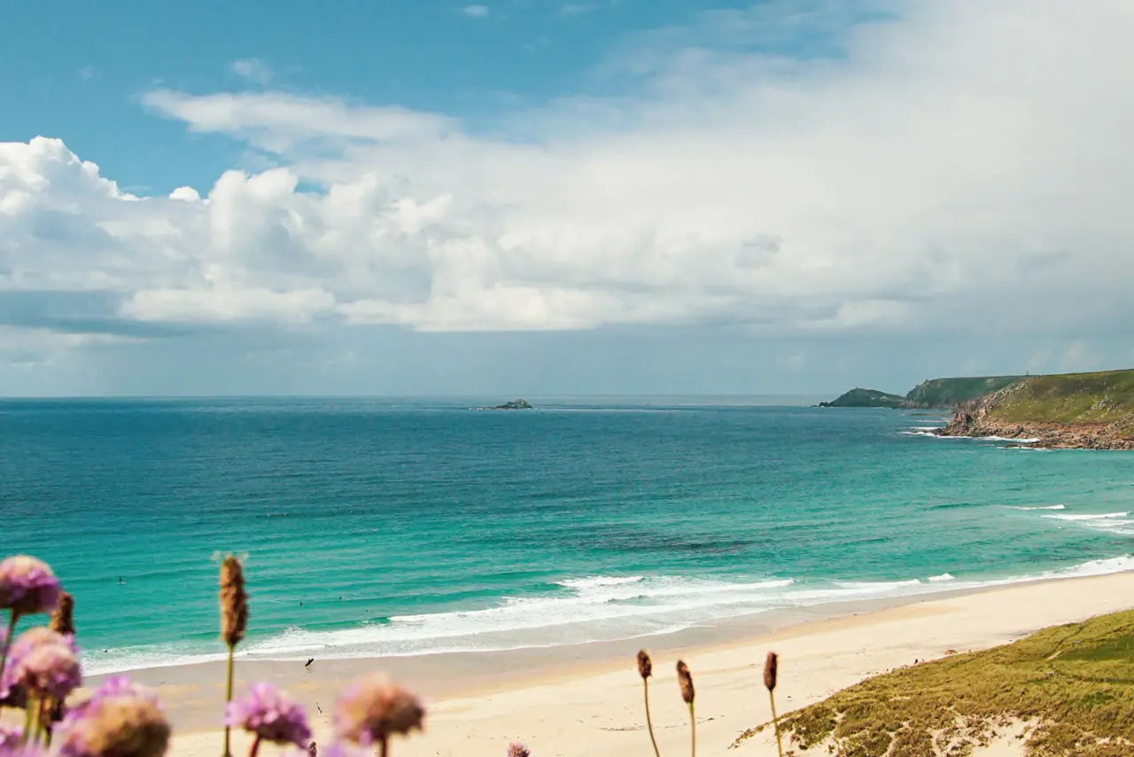 Küste Cornwall mit Blüten