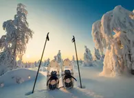 Winterparadies am Syöte-Nationalpark