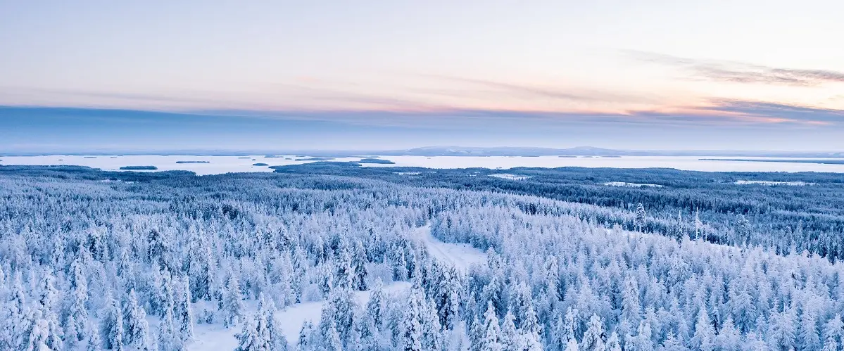 Standortreisen