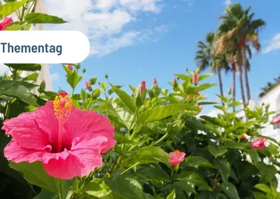 Thementag vianovas "Magic M‘s" - von Montenegro übers Mittelmeer bis nach Madeira